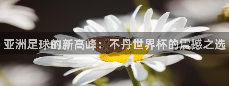 澳门世界杯直播：亚洲足球的新高峰：不丹世界杯的震撼之选