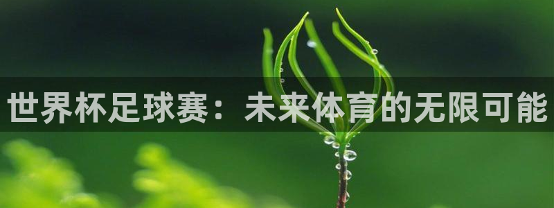 2026世界杯买球：世界杯足球赛：未来体育的无限可能