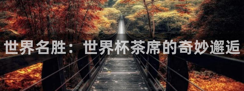 世界杯直播在线观看入口：世界名胜：世界杯茶席的奇妙邂逅