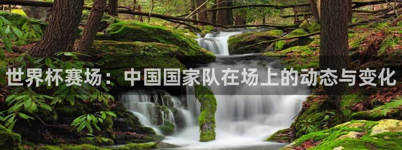 世界直播：世界杯赛场：中国国家队在场上的动态与变化