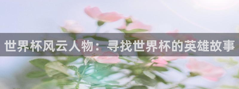 世预赛直播：世界杯风云人物：寻找世界杯的英雄故事