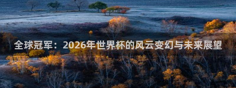 世界杯预选赛亚洲区积分榜：全球冠军：2026年世界杯的风云变幻与未来展望