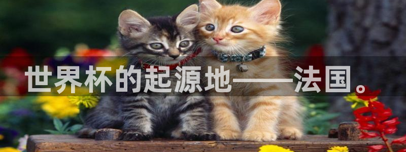 世界杯足球赛2026：世界杯的起源地——法国。