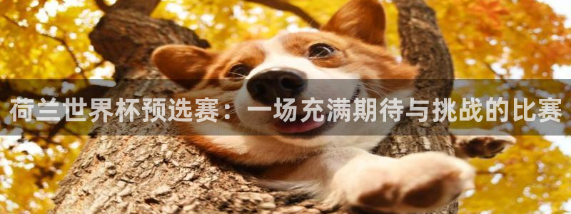 世界杯直播网：荷兰世界杯预选赛：一场充满期待与挑战的比赛