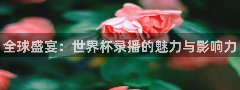 世界杯2026赛程：全球盛宴：世界杯录播的魅力与影响力
