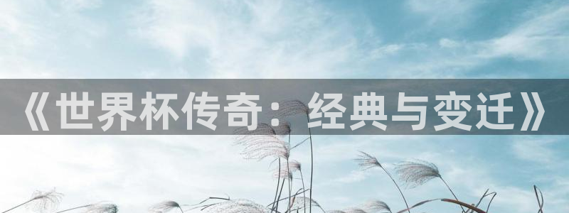 中国 世界杯：《世界杯传奇：经典与变迁》