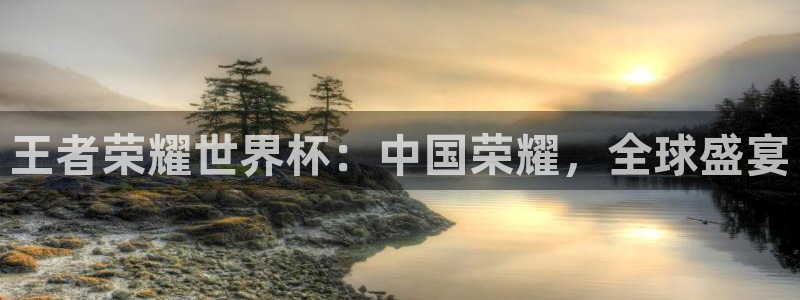 世界杯预选赛欧洲：王者荣耀世界杯：中国荣耀，全球盛宴